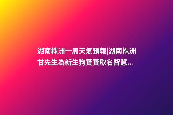 湖南株洲一周天氣預報|湖南株洲甘先生為新生狗寶寶取名智慧型套餐-第1張-公司起名-玄機派